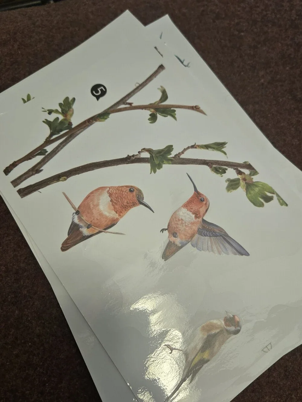Bird & Branch Vinyl Window Clings Reusable No Adhesive